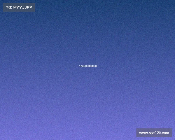 nba季后赛赛事情况如何